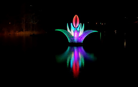 pond
lichtinstallation
spiegelung
advent