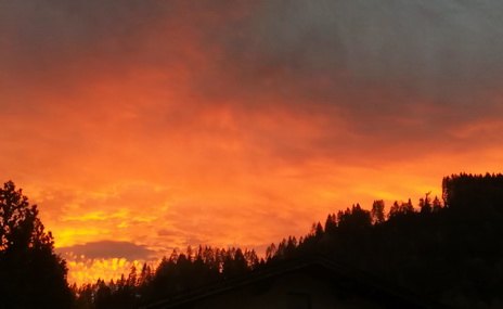 sunset sonnenuntergang baum tree orange oktober himmel sky abend stimmung evening
