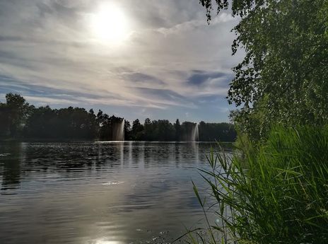 bürmoos see lake pond salzburg gegenlicht