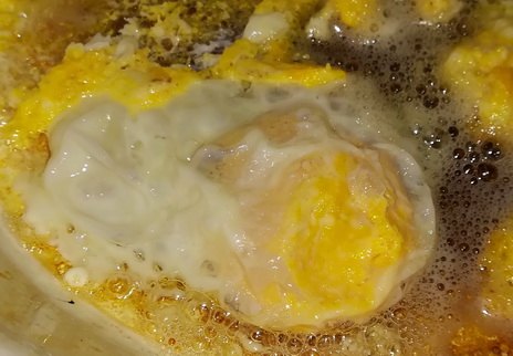 ei œuf uovo яйцо tojás jaje muna eieren mayai 雞蛋